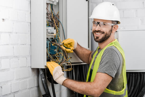 Best Electric Panel Repair  in Bon Secour, AL